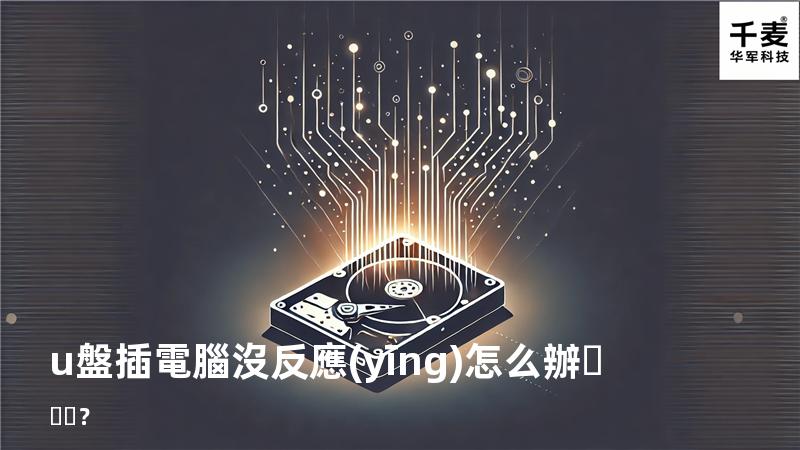 u盤插電腦沒反應(yīng)怎么辦？